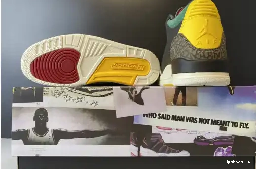 Instinct 2.0 Air Jordan SE CV3583-003 Animal CV3583-003 3 Retro 0424